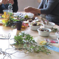 Fortbildung Stadtnatur