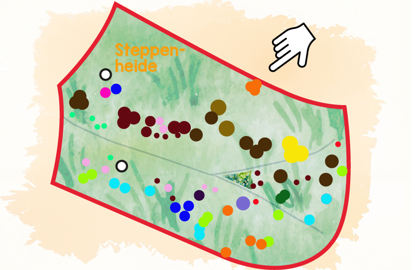 Interaktive Image Map