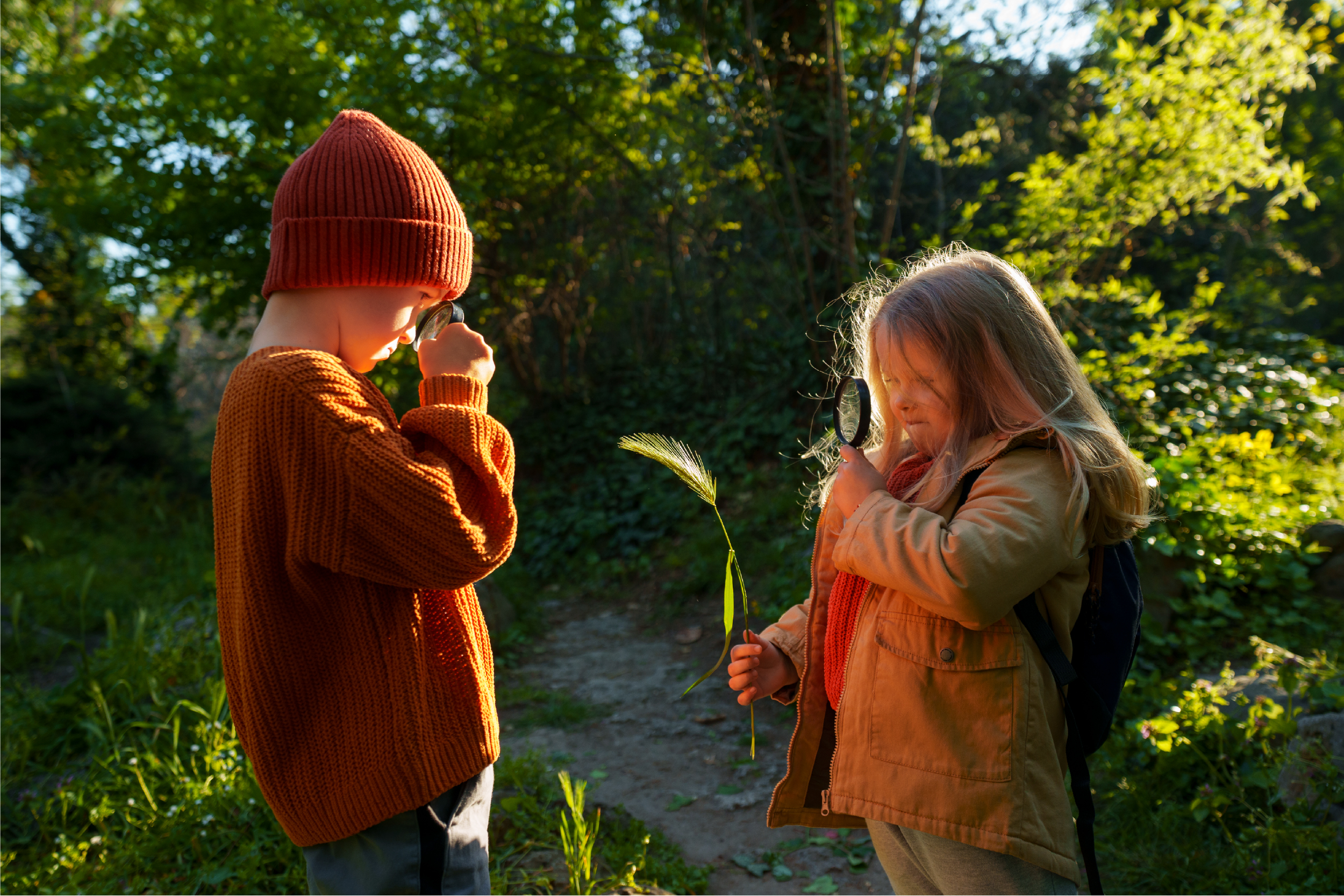 wildkräuter_werkstatt
