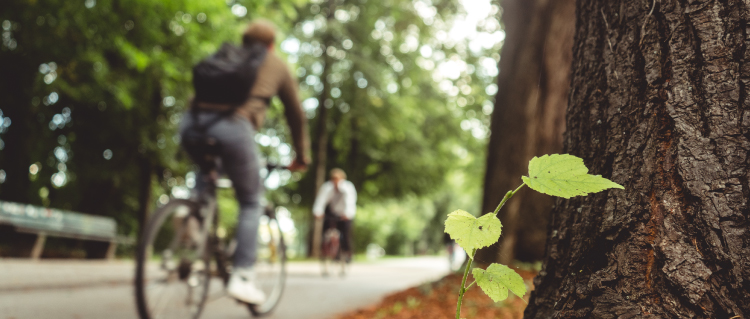 Partnerschaften zur Erreichung der Ziele