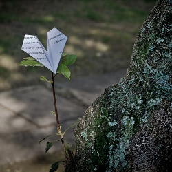 wildkräuter_werkstatt