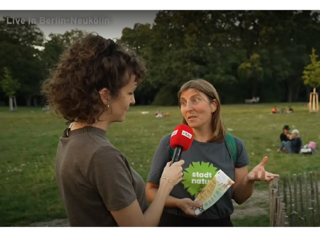 rbb-Liveschalte, 8.9.25